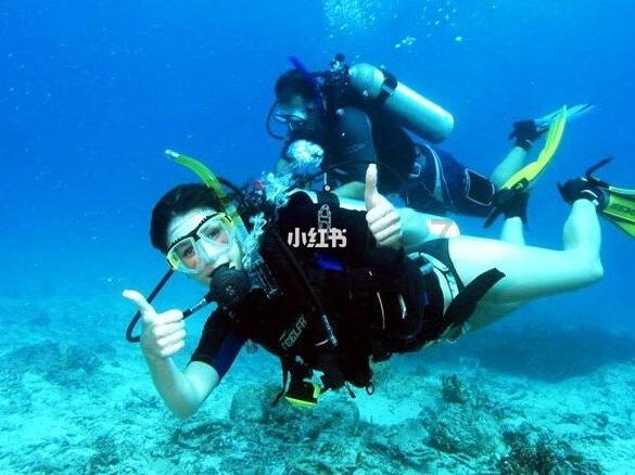 虫虫助手下载