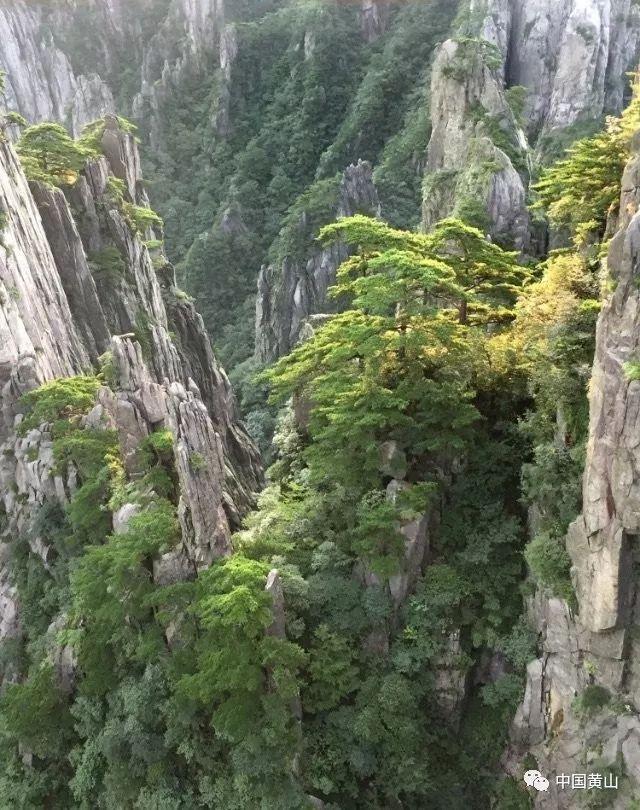 探索西安有啥可以带走的特产